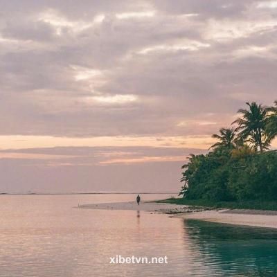 Ảnh đại diện Anika